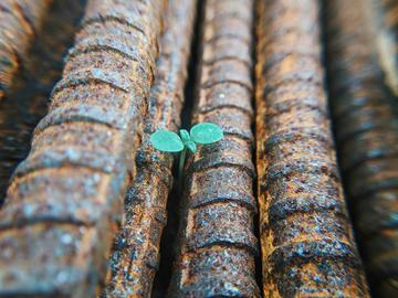 Faris mohammed nygvn45dohg unsplash Photo of green sprout growing between railway bars.